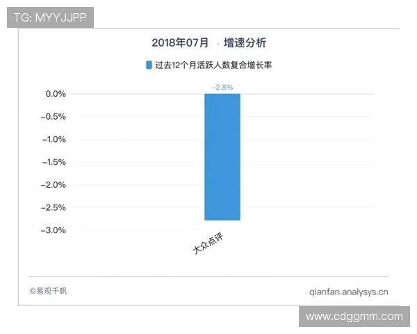 杭州网球队在邀请赛中的团队协作表现分析与点评